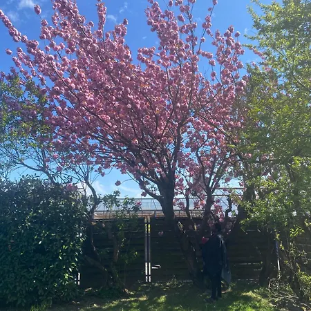 Authentic Travellers In Ehemaliger Gaertnerei Апартаменты Мербуш