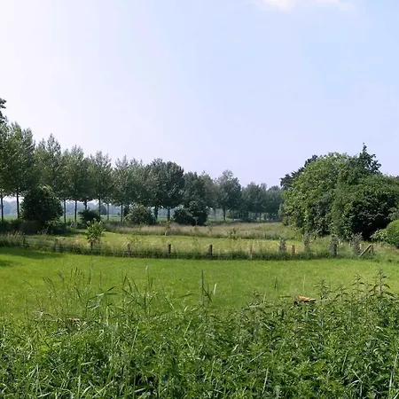 Authentic Travellers In Ehemaliger Gaertnerei * Мербуш