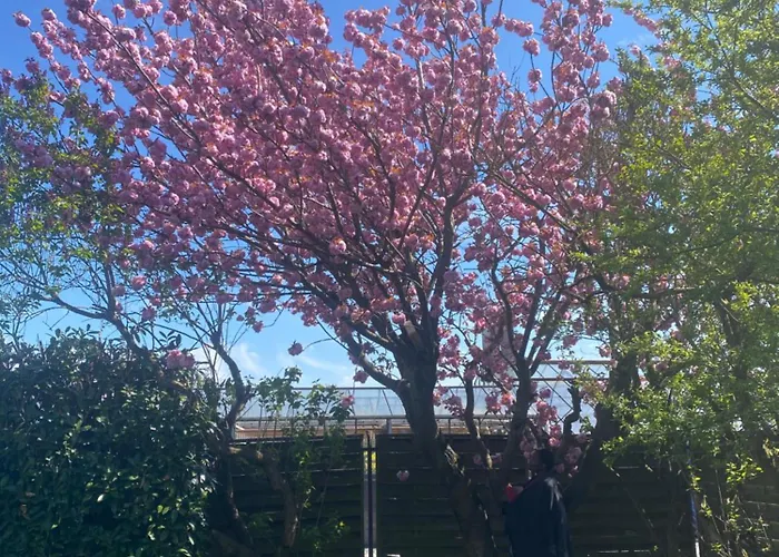 Authentic Travellers In Ehemaliger Gaertnerei Apartment Meerbusch