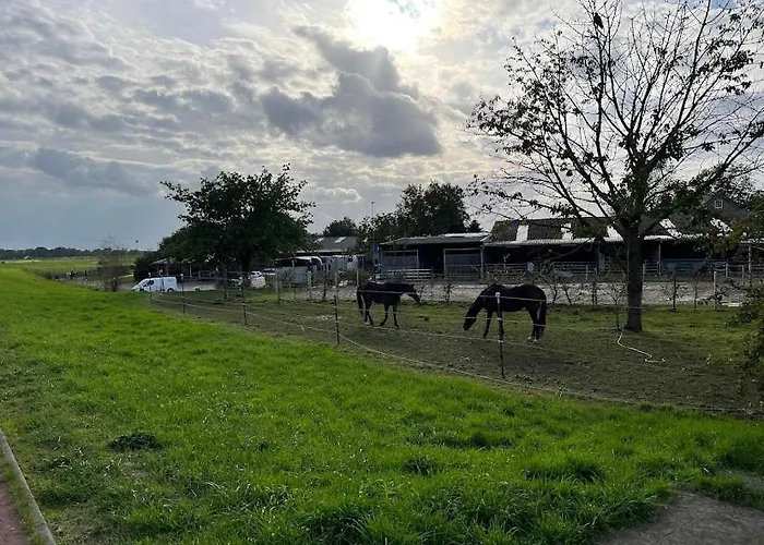 Authentic Travellers In Ehemaliger Gaertnerei Apartment Meerbusch